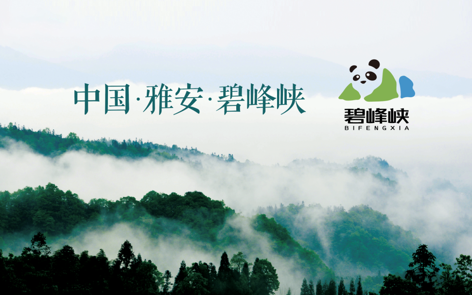 今年会·jnh(中国区)官方网站入口