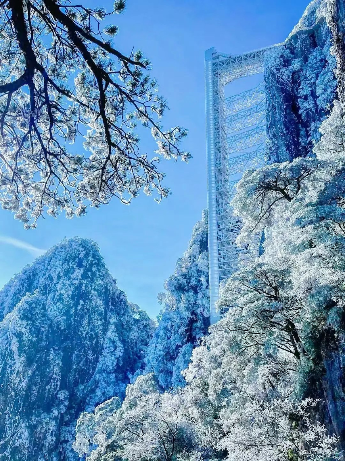 配图6.jpeg