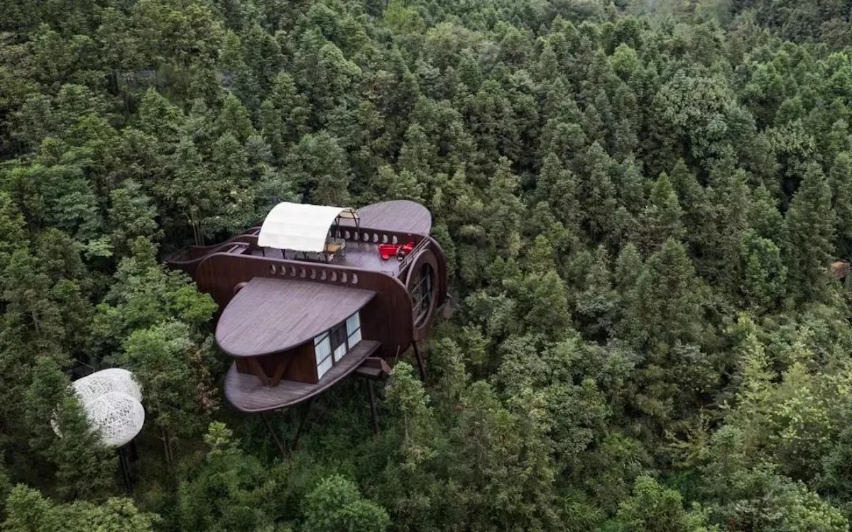自由家树屋.jpg